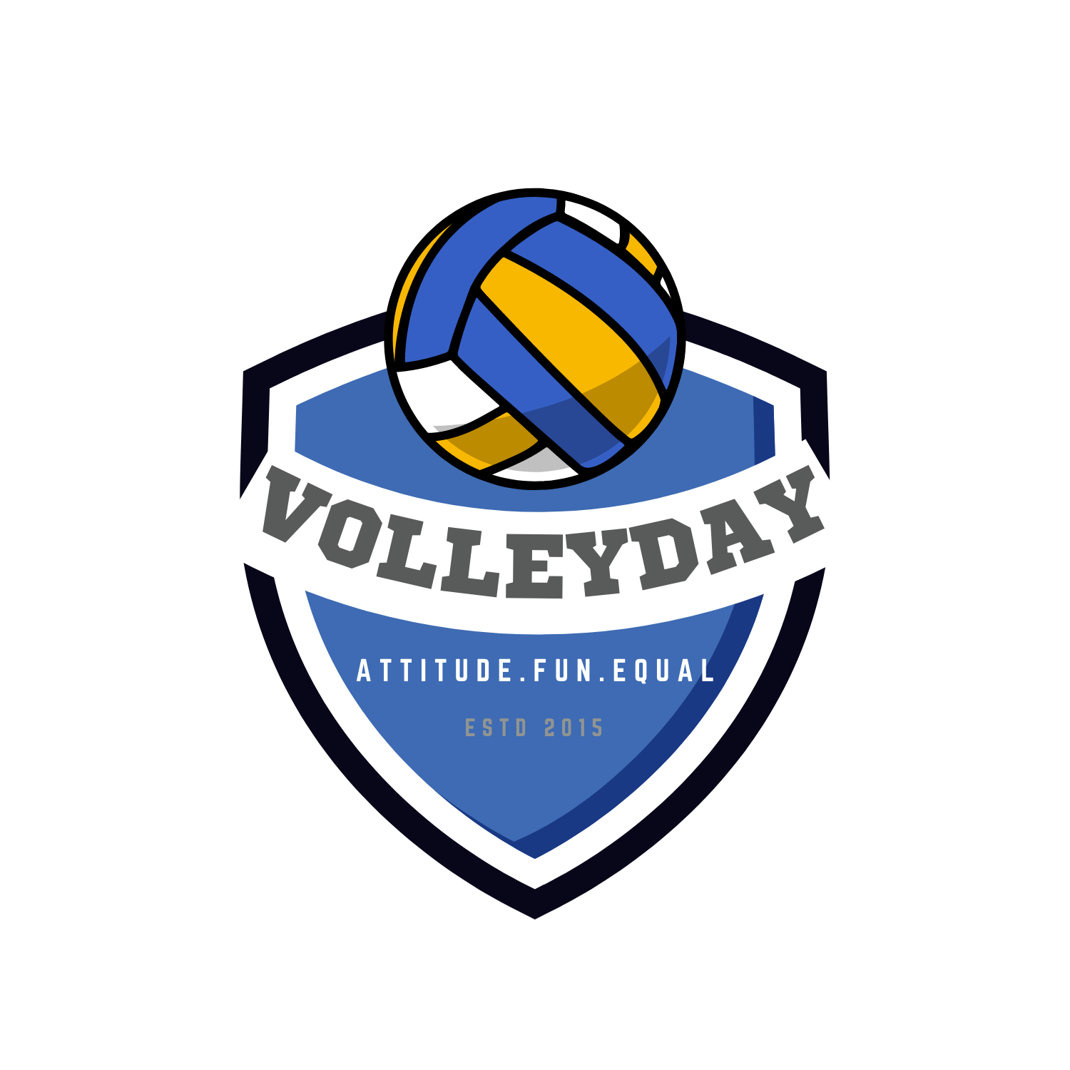 VolleyDay Sports Academy